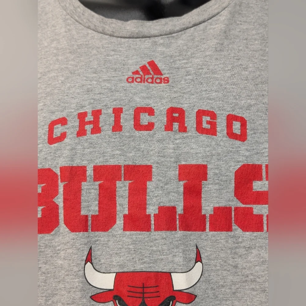 Men's Adidas Chicago Bulls Graphic Gray T-Shirt Size 2X